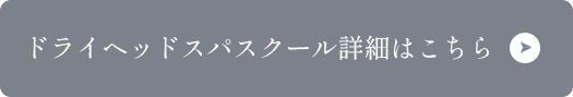 ドライヘッドスパスクール詳細はこちら